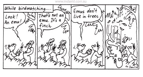 Bird-watching cartoon