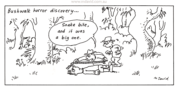 Bushwalk cartoon