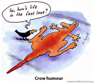 Crow humour cartoon