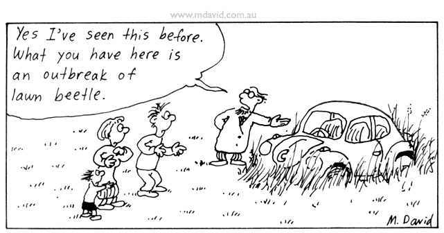 Lawn Beetle cartoon