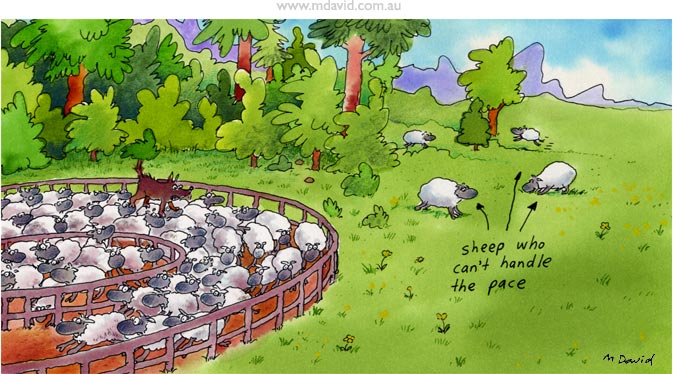 Sheep cartoon