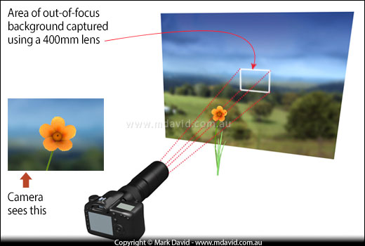 Illustration showing how a 400 mm lens captures only a small part of the background