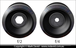 A comparison of the lens openings at f/2 and f/4