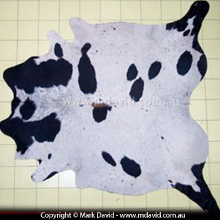 Cow skin rug