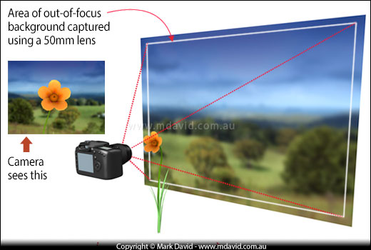 Illustration showing how a 50mm lens captures a lot of the background