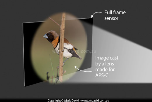 APS-C lens over a full-frame sensor