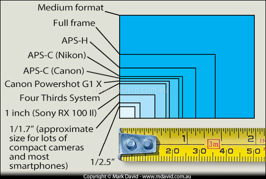 common sensor sizes